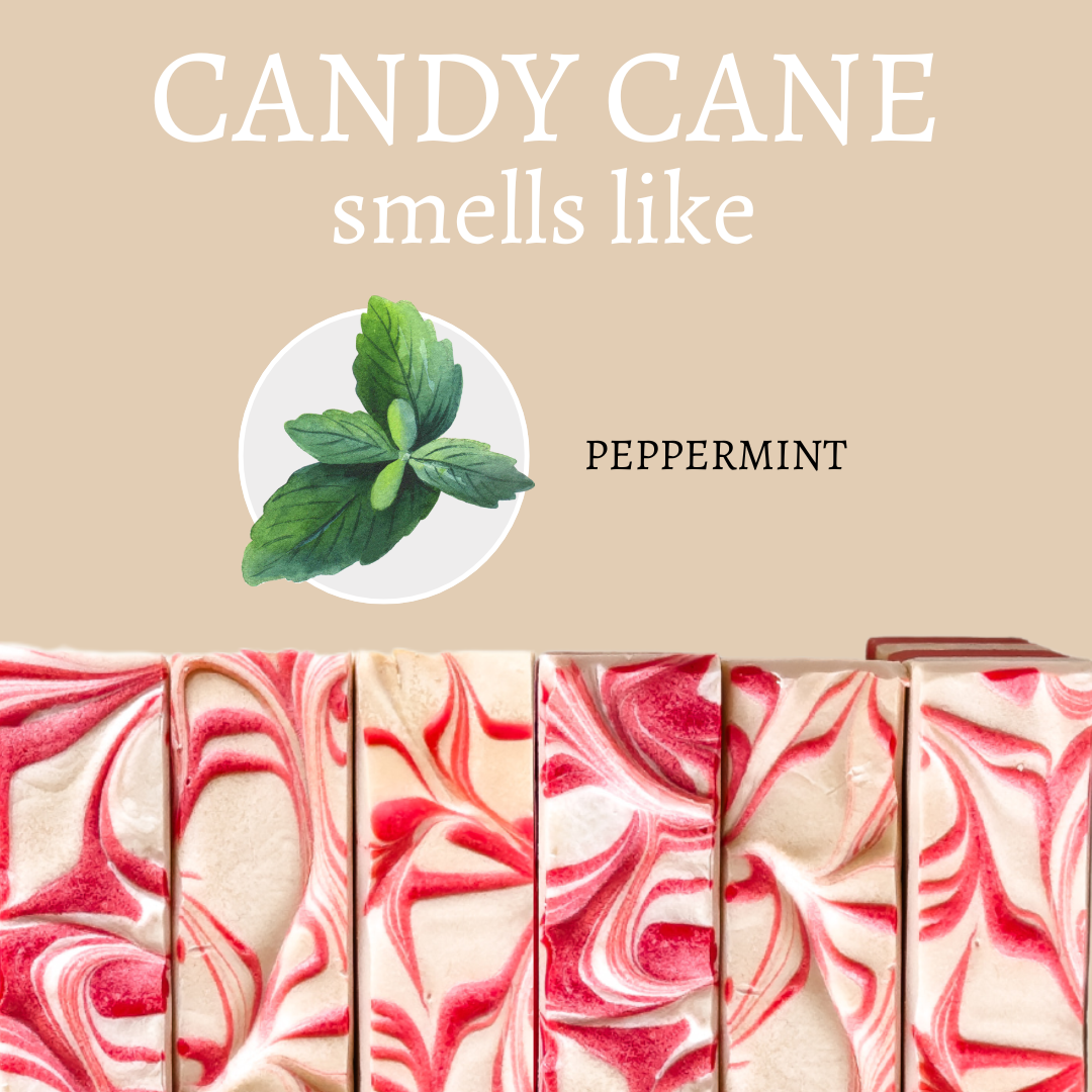 Christmas Candy Cane Peppermint Handmade Soap Bar - 4oz