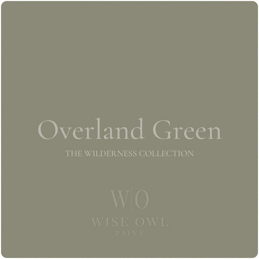 Wise Owl One Hour Enamel - Overland Green
