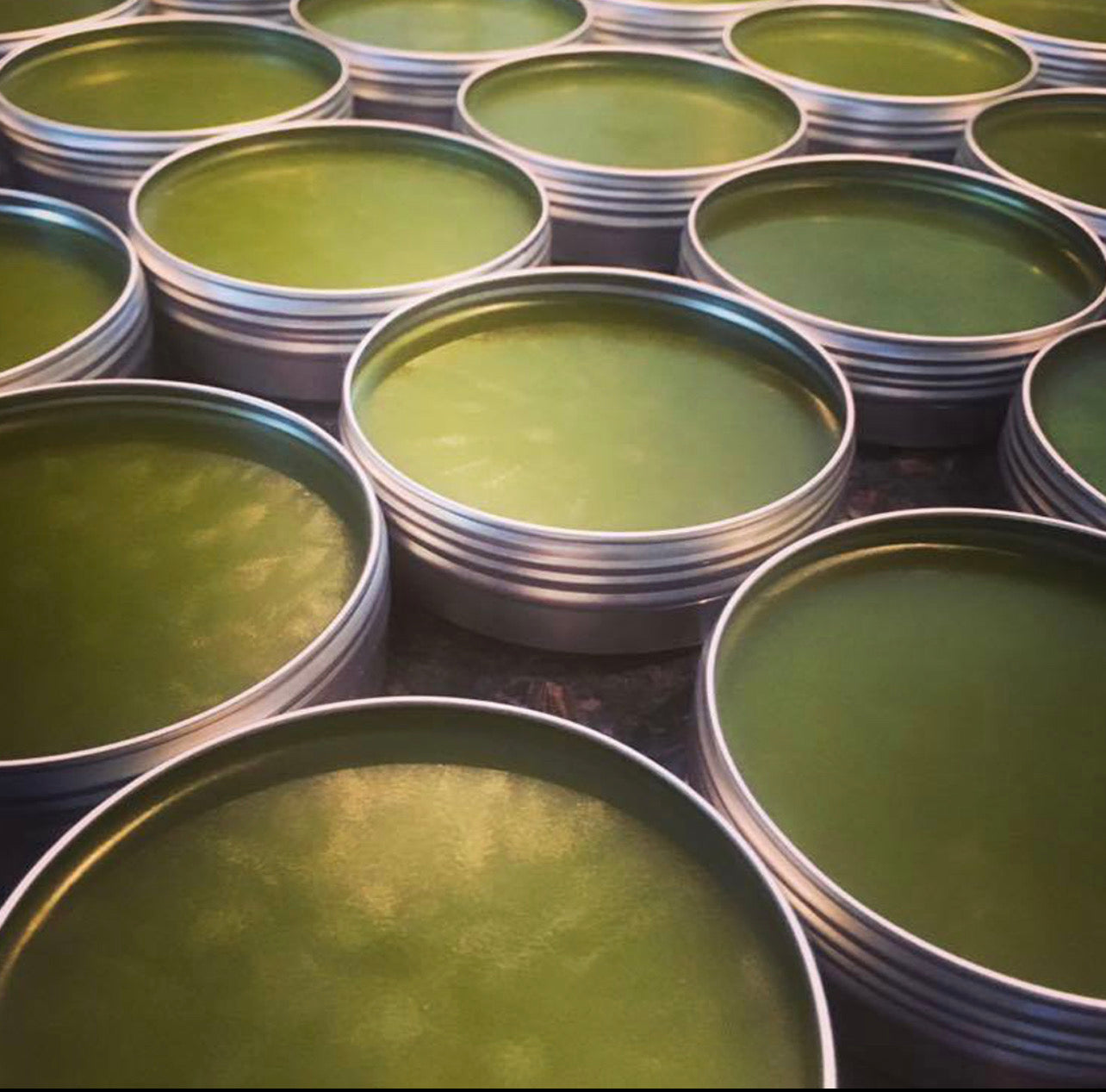 Wise Owl Furniture Salve - Tea Tree & Mint