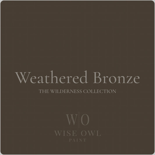 Wise Owl One Hour Enamel - Weathered Bronze